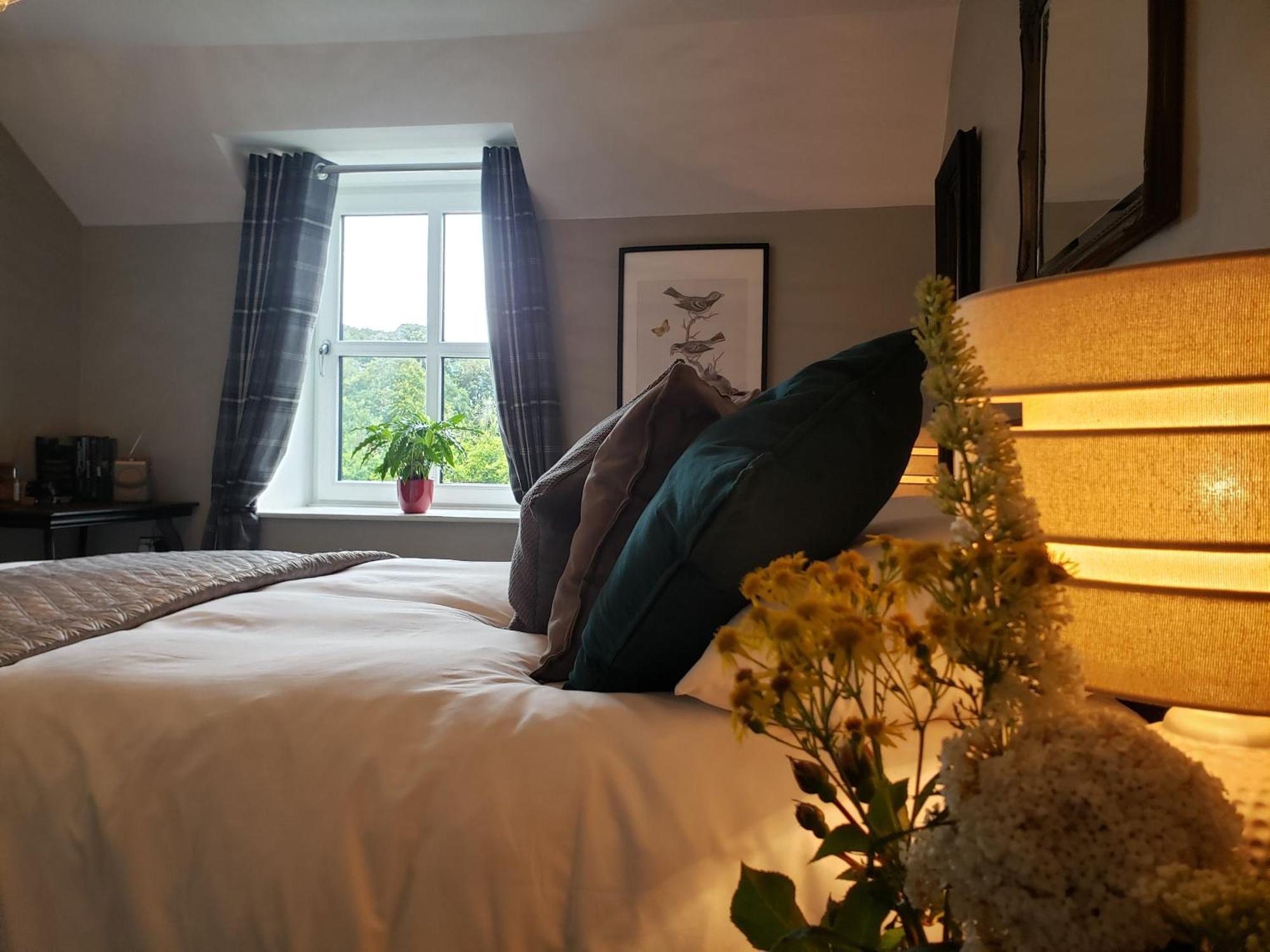 Bryansford Cottage 外观 照片
