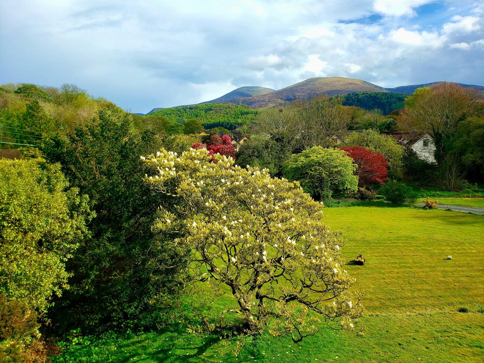 Bryansford Cottage 外观 照片